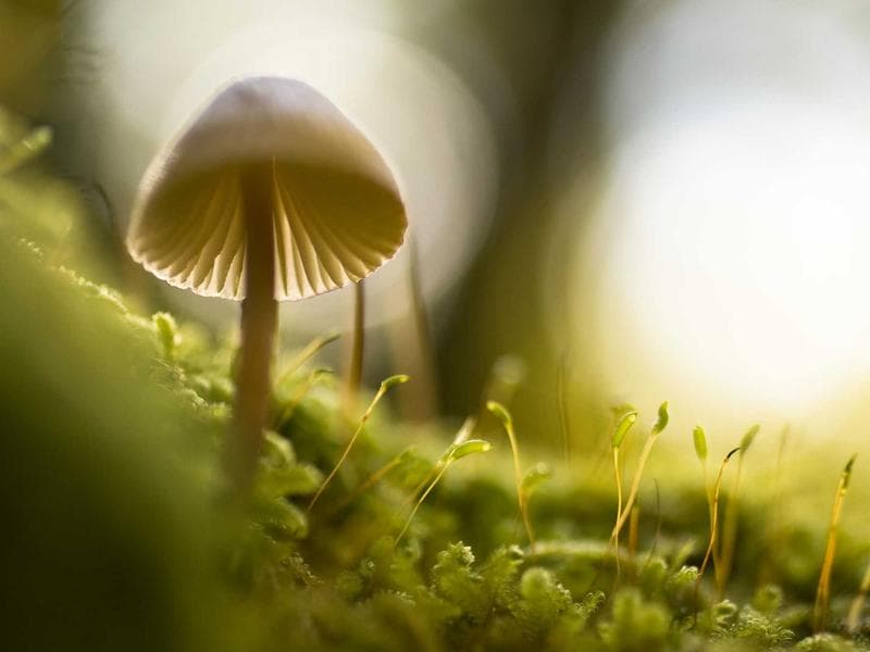 Naval Heritage Sites 1