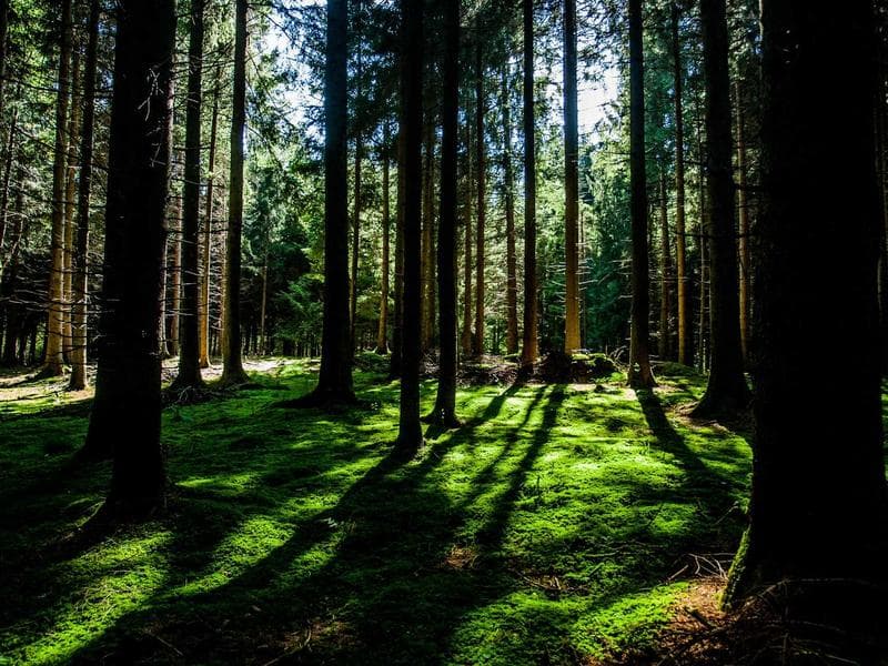 Padre Burgos Marine Reserve 2